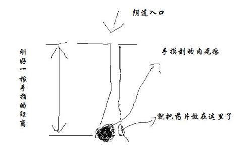 ꎵֻһָ^ǲ